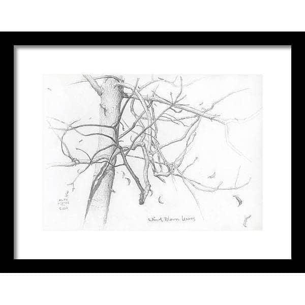 Wind Blown Leaves - Framed Print | Artwork by Glen Loates