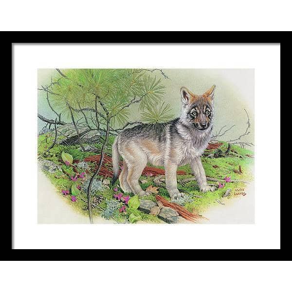 Wolf Pup - Framed Print | Artwork by Glen Loates