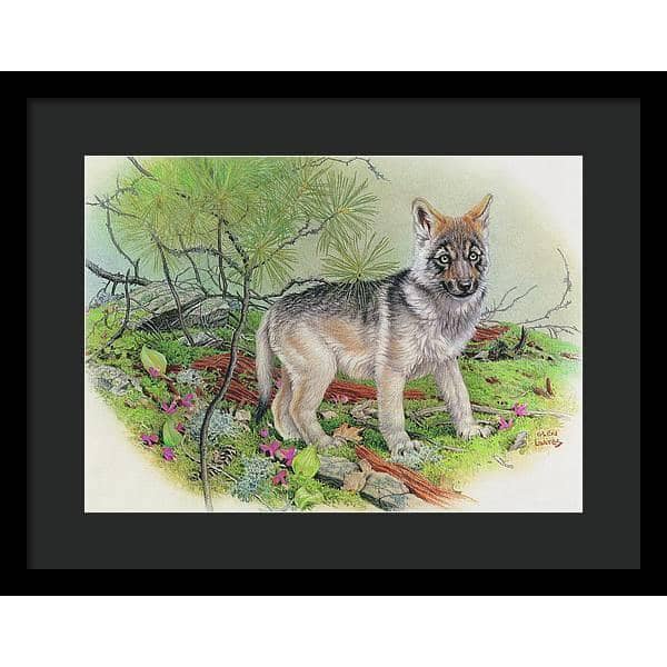 Wolf Pup - Framed Print | Artwork by Glen Loates