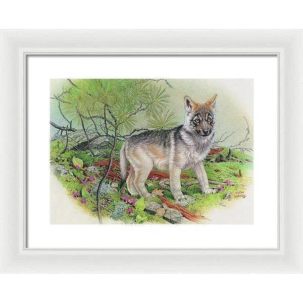 Wolf Pup - Framed Print | Artwork by Glen Loates