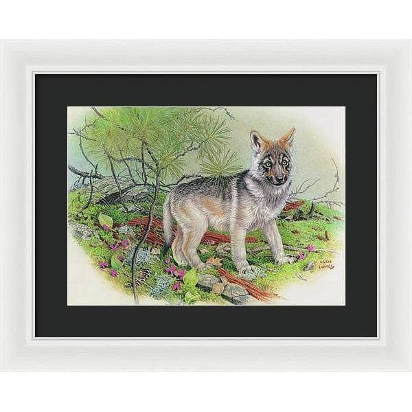 Wolf Pup - Framed Print | Artwork by Glen Loates