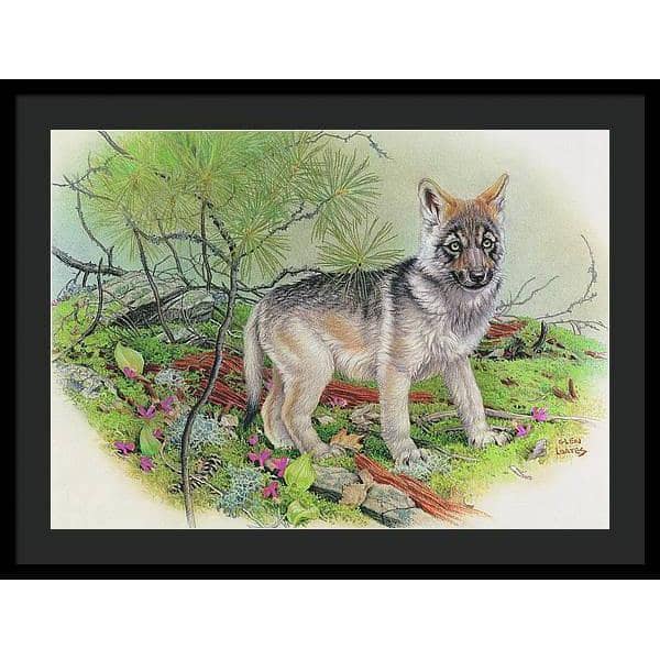 Wolf Pup - Framed Print | Artwork by Glen Loates
