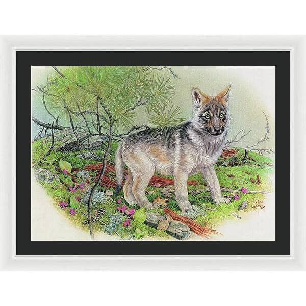 Wolf Pup - Framed Print | Artwork by Glen Loates
