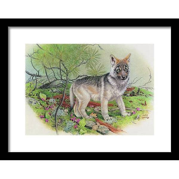 Wolf Pup - Framed Print | Artwork by Glen Loates