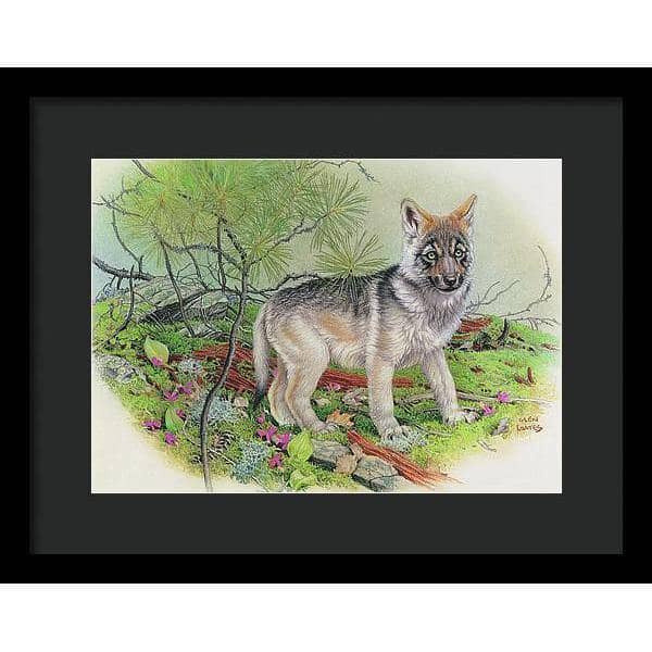 Wolf Pup - Framed Print | Artwork by Glen Loates