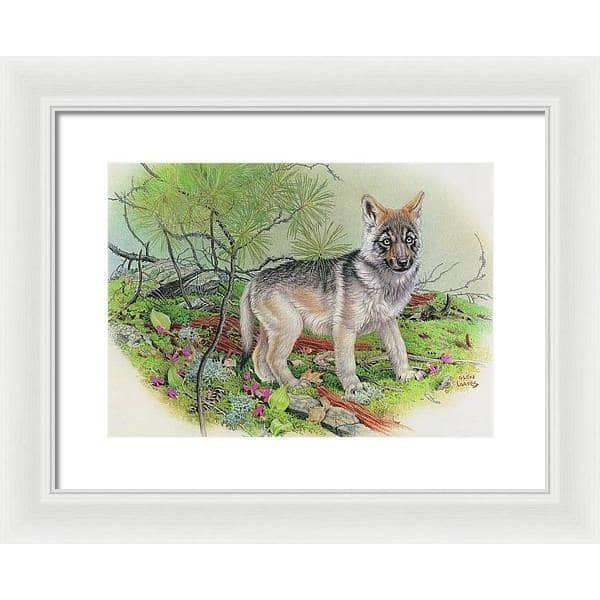 Wolf Pup - Framed Print | Artwork by Glen Loates