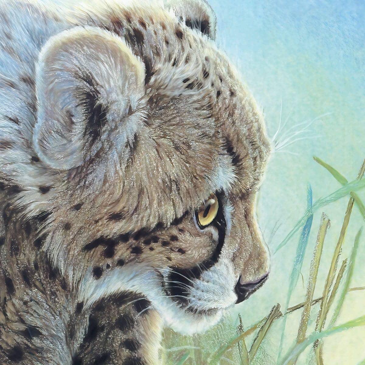 Young Cheetah with Fireflies - Framed Print | Artwork by Glen Loates