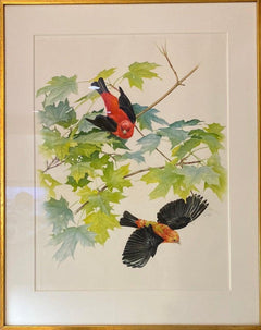 Scarlet Tanagers, the original by Glen Loates