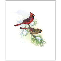 Giclée sur papier
