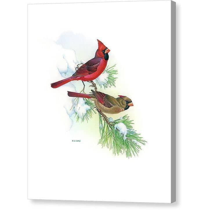 Cardinals - Canvas Print | Artwork by Glen Loates