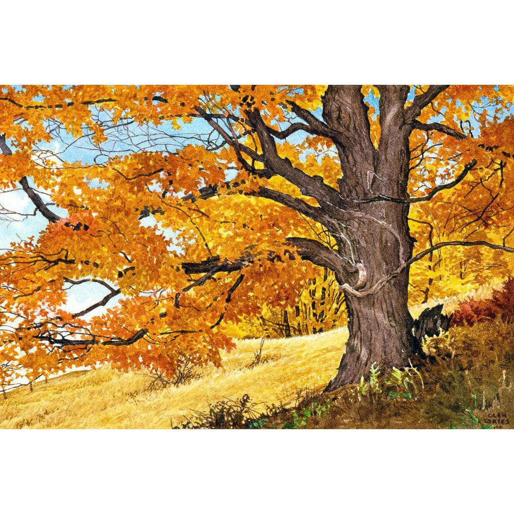 Autumn Day - Canvas Print | Artwork by Glen Loates