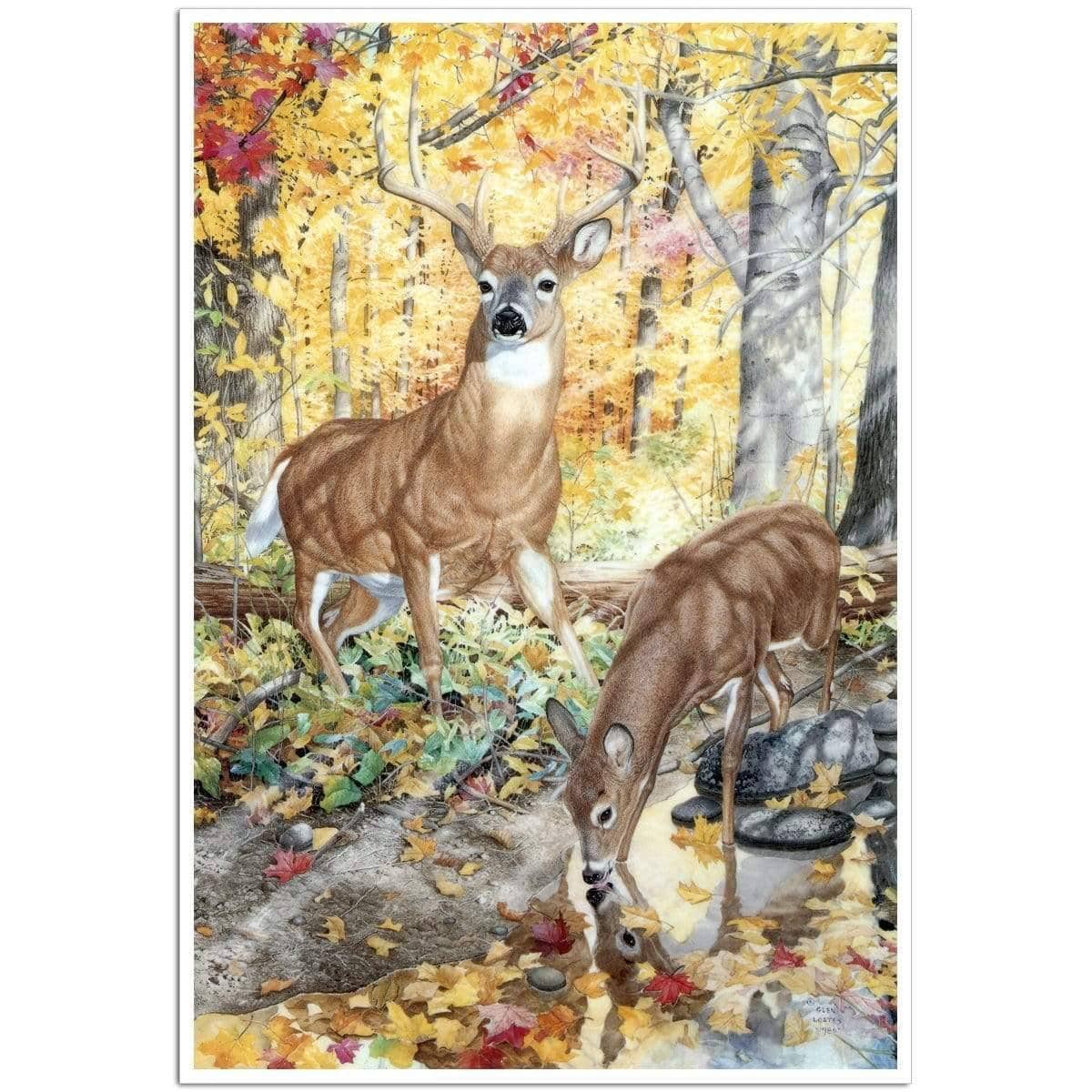 Autumn Deer - Art Print | Artwork by Glen Loates