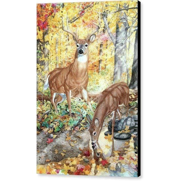 Autumn Deer - Canvas Print | Artwork by Glen Loates