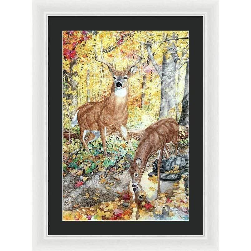 Autumn Deer - Framed Print | Artwork by Glen Loates