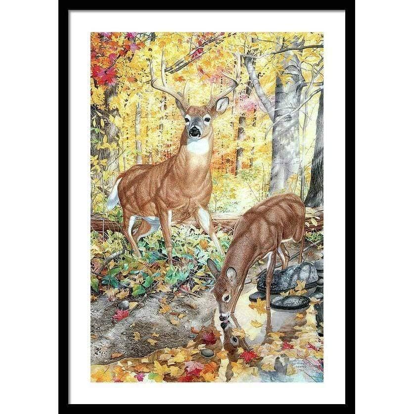 Autumn Deer - Framed Print | Artwork by Glen Loates