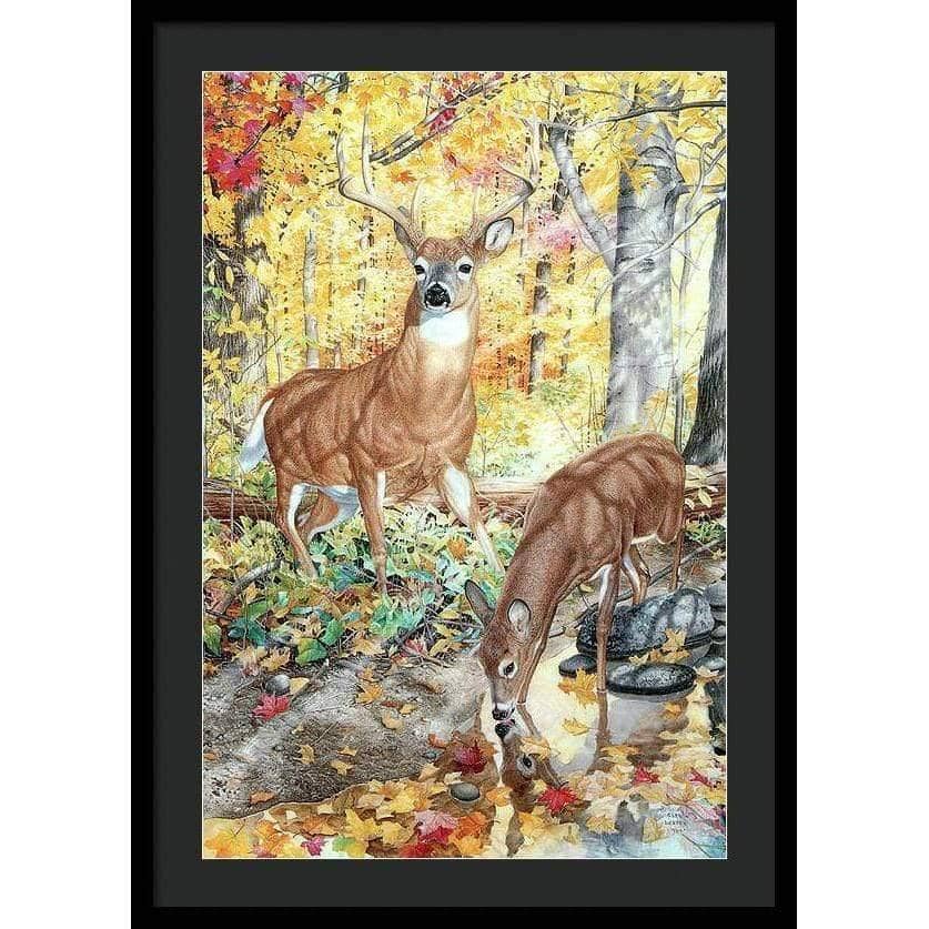Autumn Deer - Framed Print | Artwork by Glen Loates