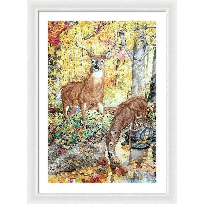 Autumn Deer - Framed Print | Artwork by Glen Loates