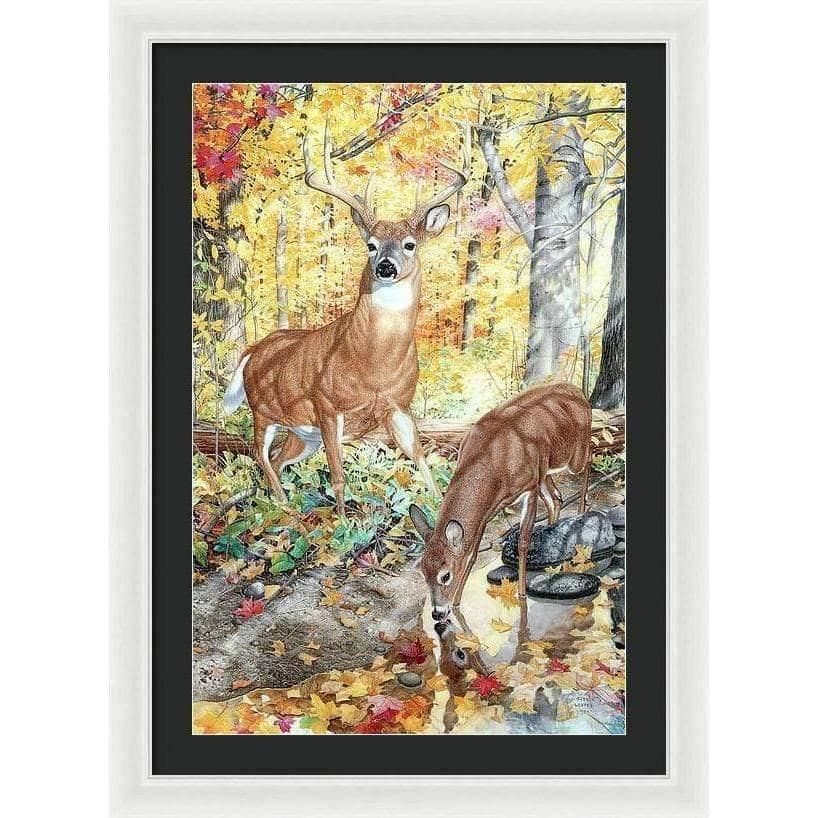 Autumn Deer - Framed Print | Artwork by Glen Loates