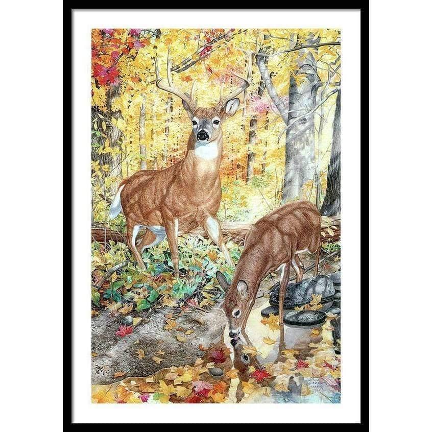 Autumn Deer - Framed Print | Artwork by Glen Loates