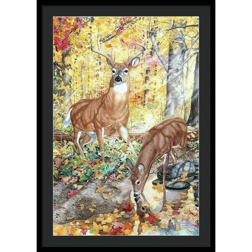 Autumn Deer - Framed Print | Artwork by Glen Loates
