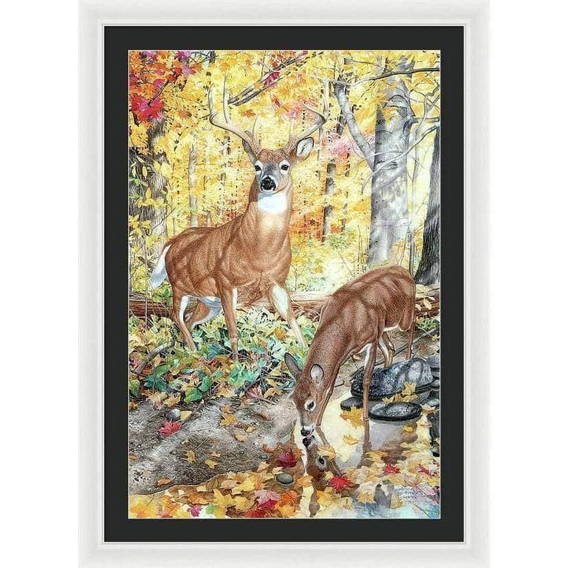 Autumn Deer - Framed Print | Artwork by Glen Loates