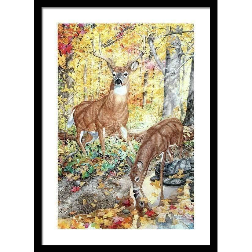 Autumn Deer - Framed Print | Artwork by Glen Loates