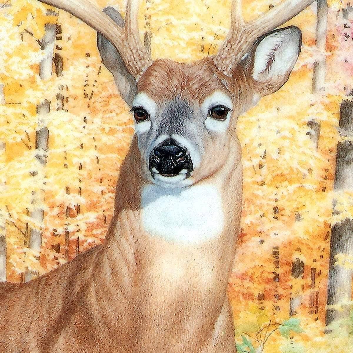 Autumn Deer - Framed Print | Artwork by Glen Loates