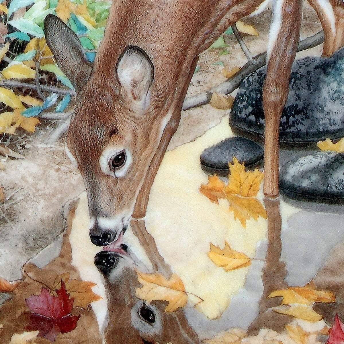 Autumn Deer - Framed Print | Artwork by Glen Loates