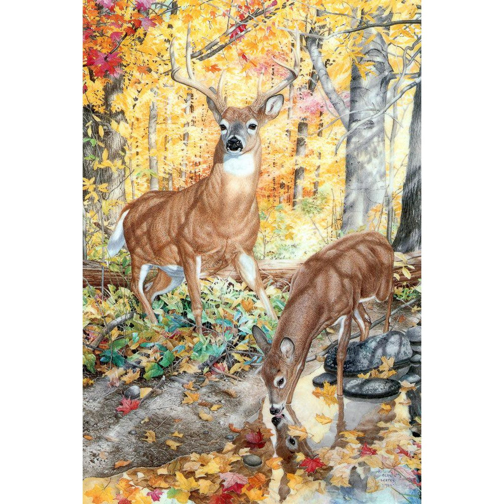 Autumn Deer - Framed Print | Artwork by Glen Loates