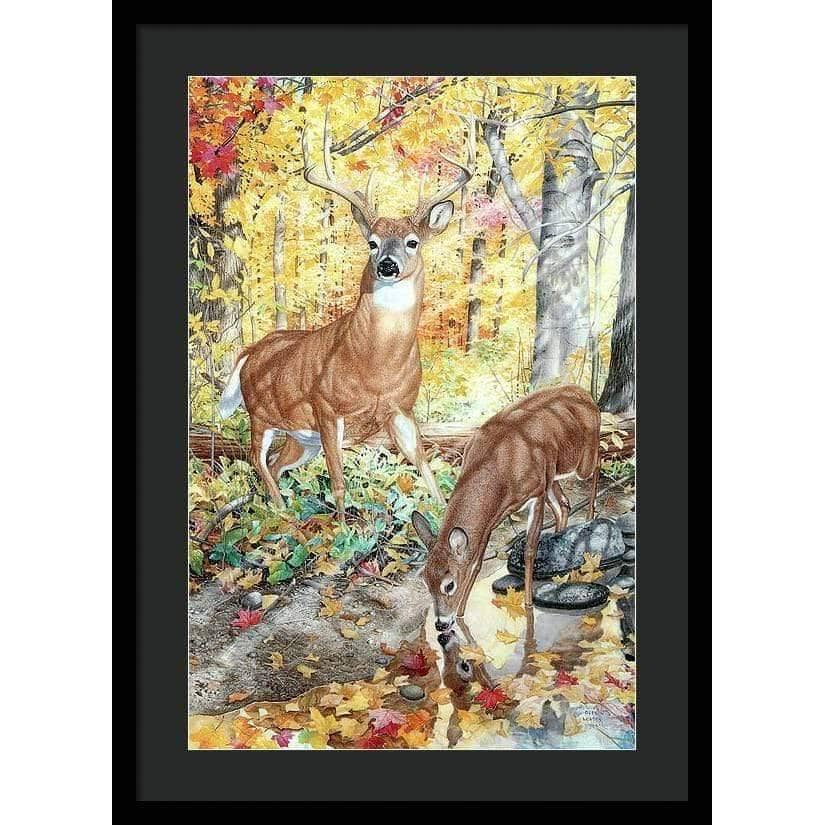 Autumn Deer - Framed Print | Artwork by Glen Loates