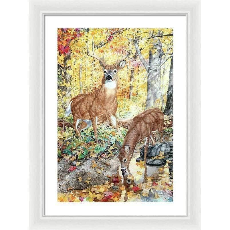 Autumn Deer - Framed Print | Artwork by Glen Loates