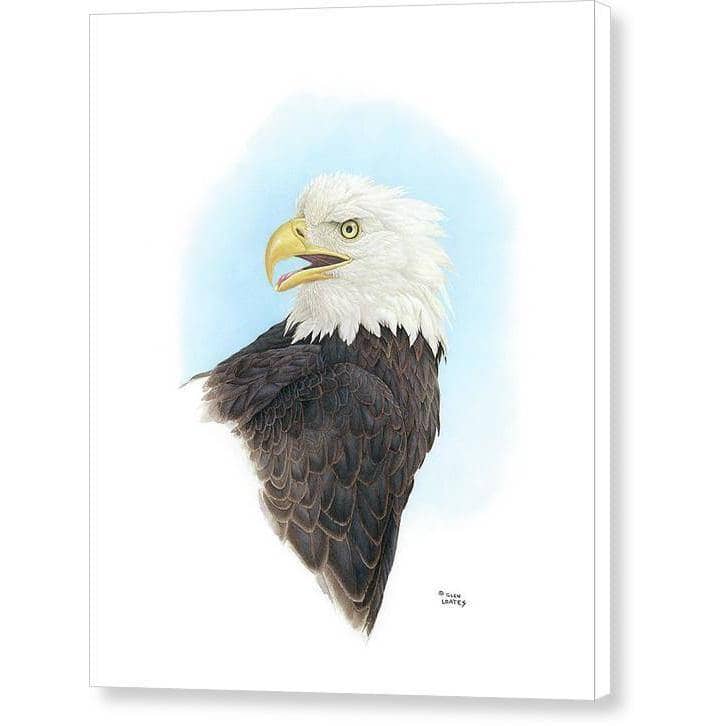 Bald Eagle Head - Canvas Print | Artwork by Glen Loates