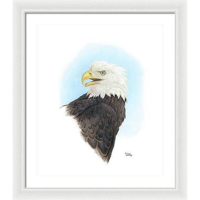 Bald Eagle Head - Framed Print | Artwork by Glen Loates