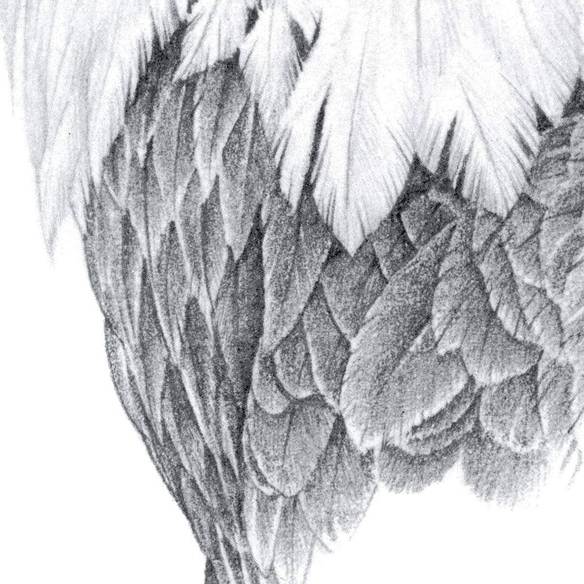 Bald Eagle Portrait - Canvas Print | Artwork by Glen Loates