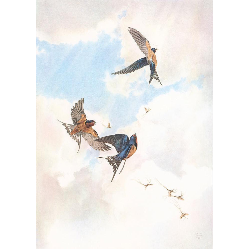 Barn Swallows - Canvas Print | Artwork by Glen Loates