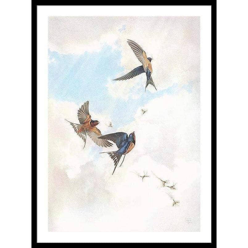 Barn Swallows - Framed Print | Artwork by Glen Loates