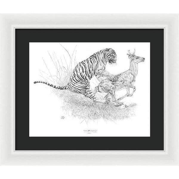 Bengal Tiger Pulling Down a Chital Deer - Framed Print | Artwork by Glen Loates