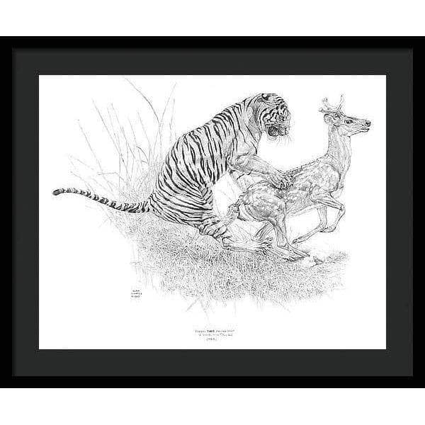 Bengal Tiger Pulling Down a Chital Deer - Framed Print | Artwork by Glen Loates