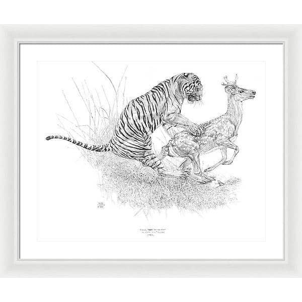 Bengal Tiger Pulling Down a Chital Deer - Framed Print | Artwork by Glen Loates