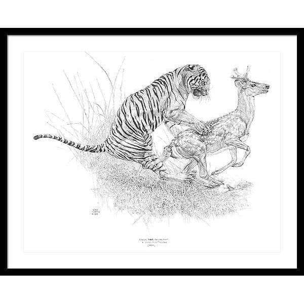 Bengal Tiger Pulling Down a Chital Deer - Framed Print | Artwork by Glen Loates
