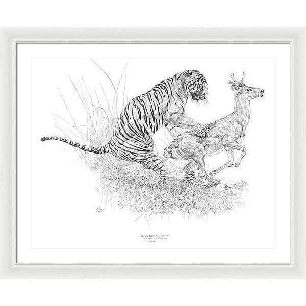 Bengal Tiger Pulling Down a Chital Deer - Framed Print | Artwork by Glen Loates