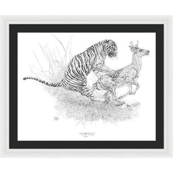 Bengal Tiger Pulling Down a Chital Deer - Framed Print | Artwork by Glen Loates