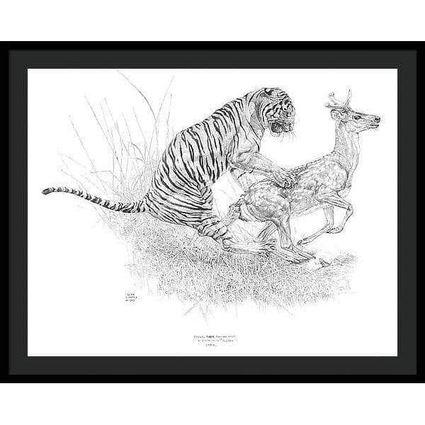 Bengal Tiger Pulling Down a Chital Deer - Framed Print | Artwork by Glen Loates