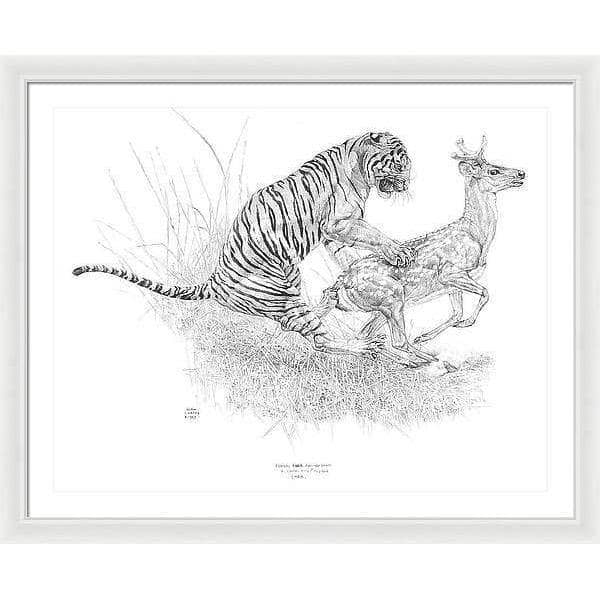 Bengal Tiger Pulling Down a Chital Deer - Framed Print | Artwork by Glen Loates