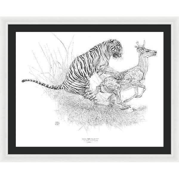 Bengal Tiger Pulling Down a Chital Deer - Framed Print | Artwork by Glen Loates
