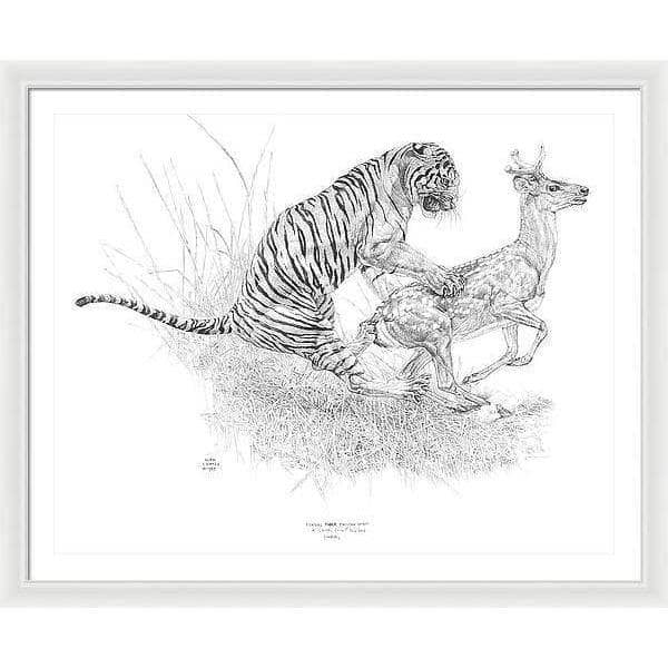 Bengal Tiger Pulling Down a Chital Deer - Framed Print | Artwork by Glen Loates