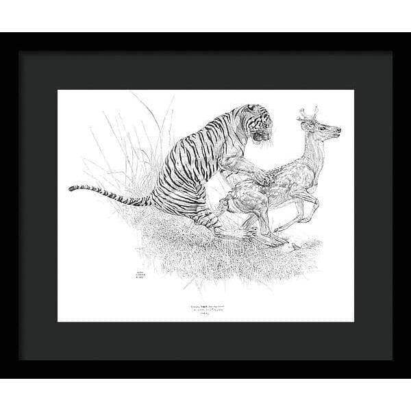 Bengal Tiger Pulling Down a Chital Deer - Framed Print | Artwork by Glen Loates