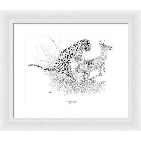 Bengal Tiger Pulling Down a Chital Deer - Framed Print | Artwork by Glen Loates