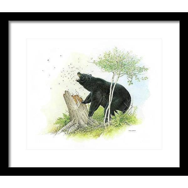 Black Bear and Honey Bees - Framed Print | Artwork by Glen Loates