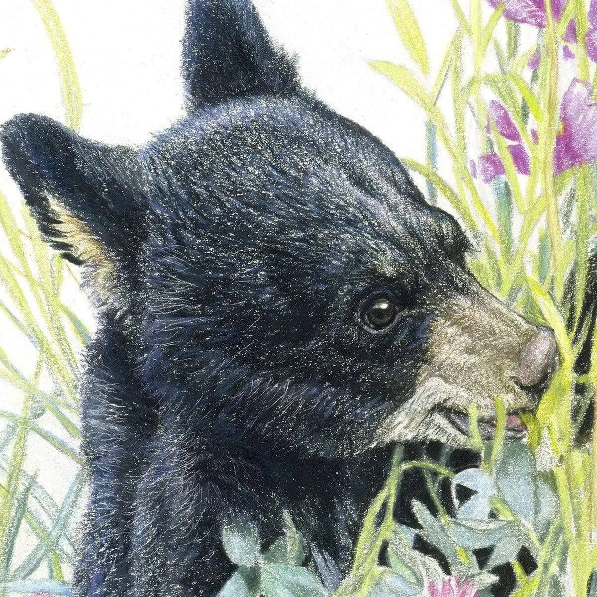 Black Bear Cubs in Grass - Canvas Print | Artwork by Glen Loates
